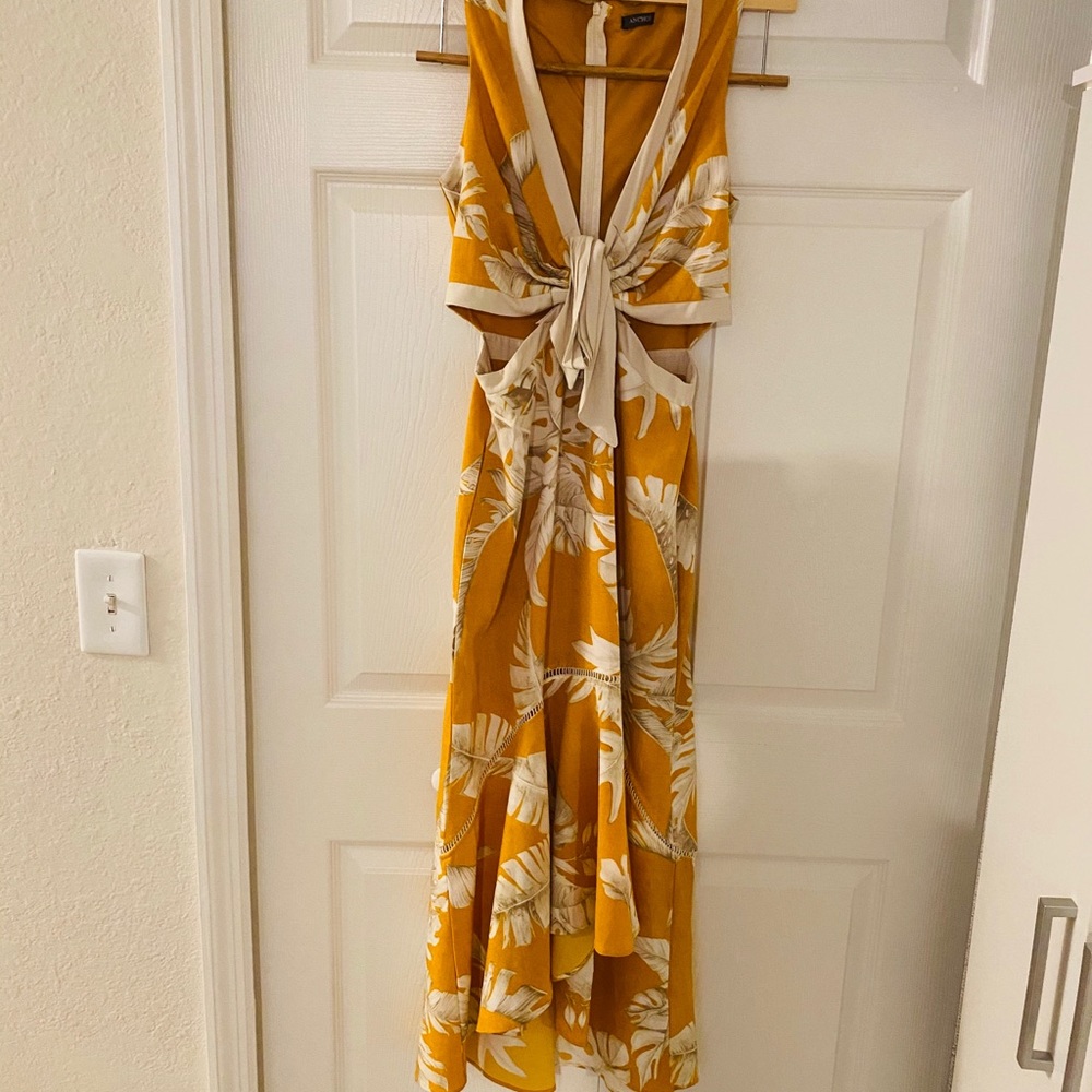 brazilian dress